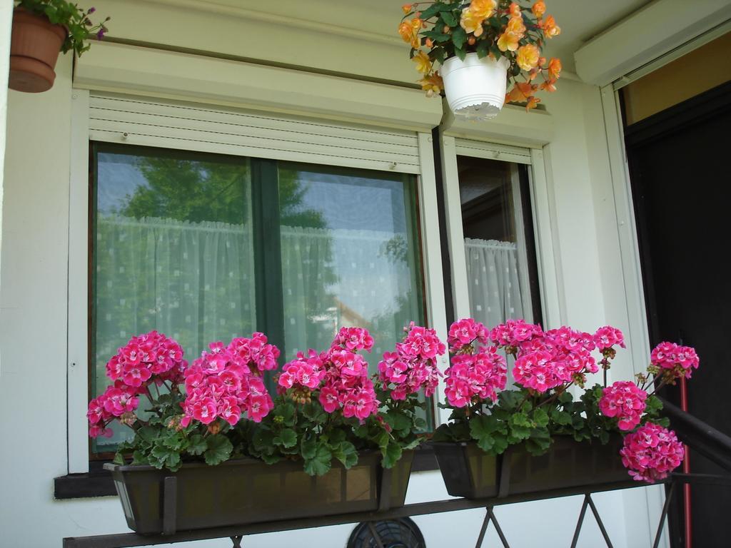 Liza Apartman Gyula Room photo